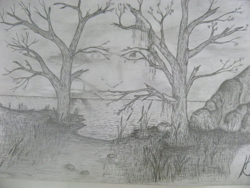 Рисунки карандашом природа