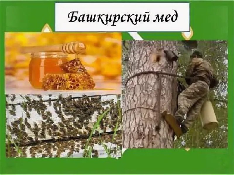 Башкирский мед надпись