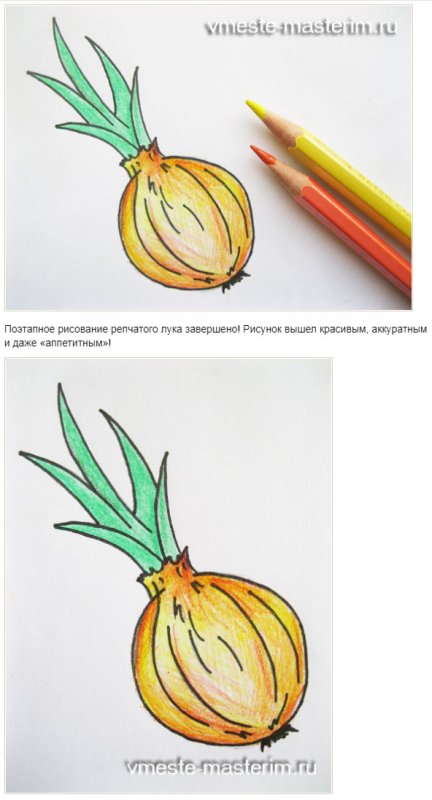 Рисунок лука