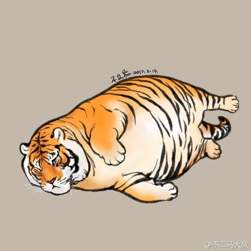Тигр рисунок