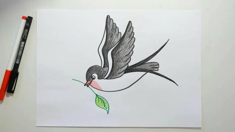 Как нарисовать ласточку