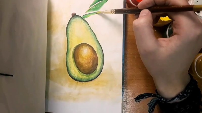 Поэтапность рисования авокадо