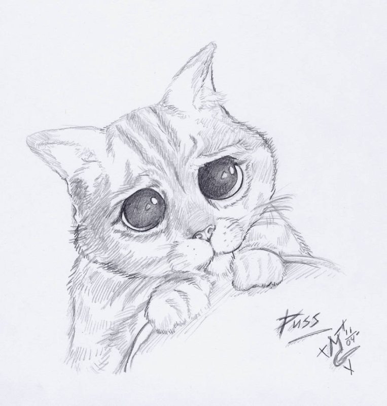 Милые рисунки карандашом