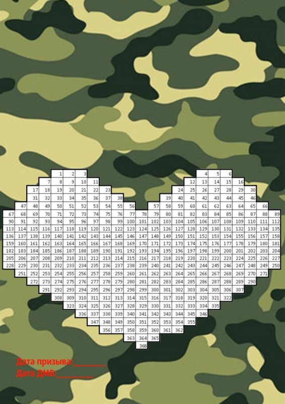 Сердце армия