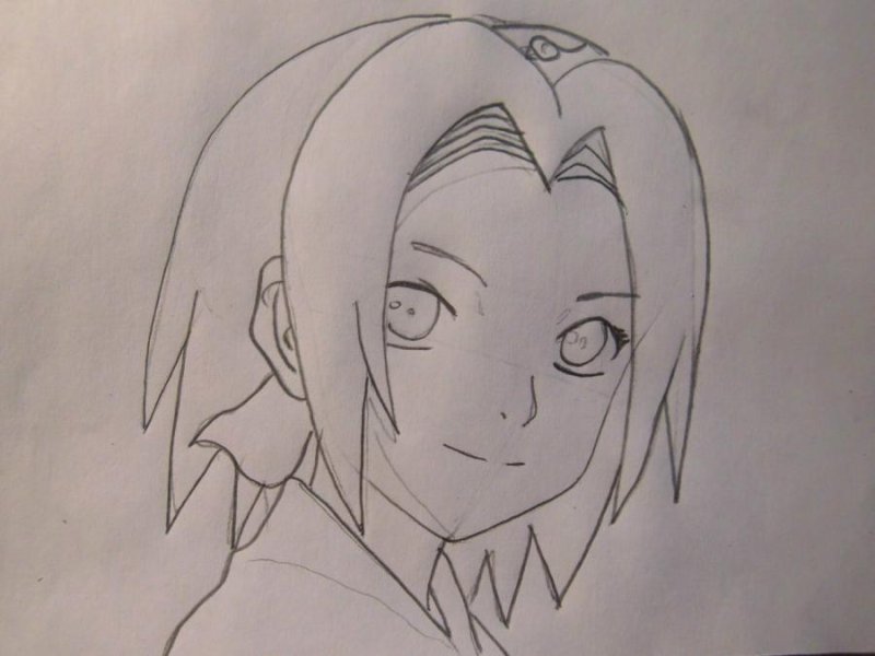 Сакура карандашом