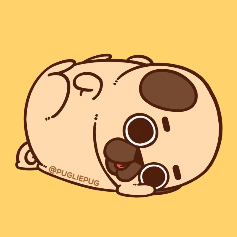 Кавай Мопс Puglie