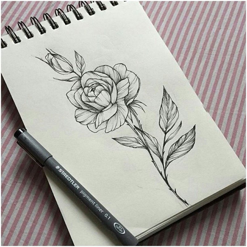 Рисунки для СКЕЙДЧ бука