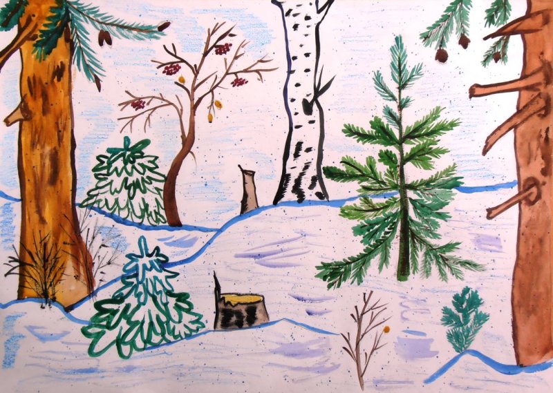 Зимний лес рисунок карандашом