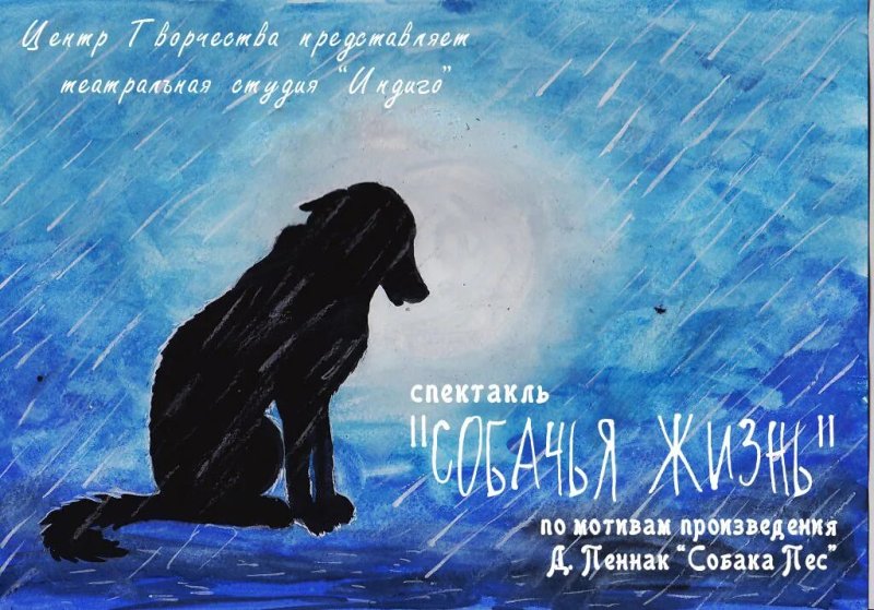 Собака под дождем