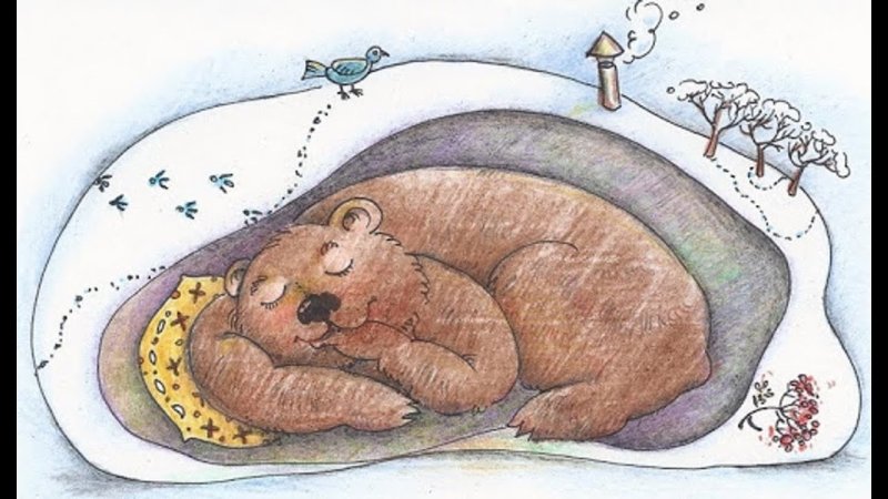 Медведь в спячке в берлоге