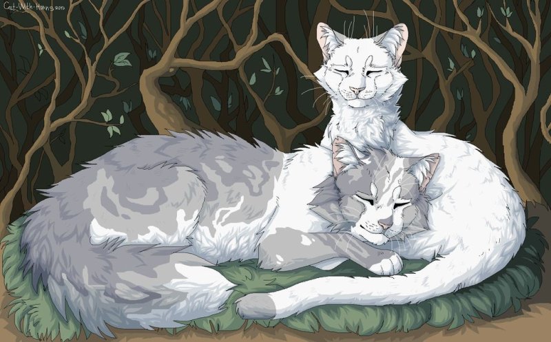 Остролап коты Воители арт