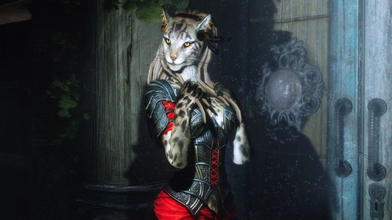 The Elder Scrolls каджитка