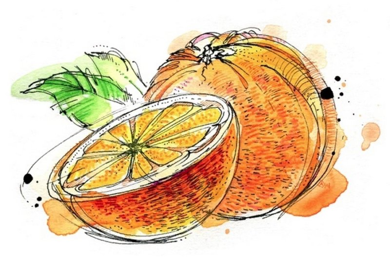 Фрукты акварелью