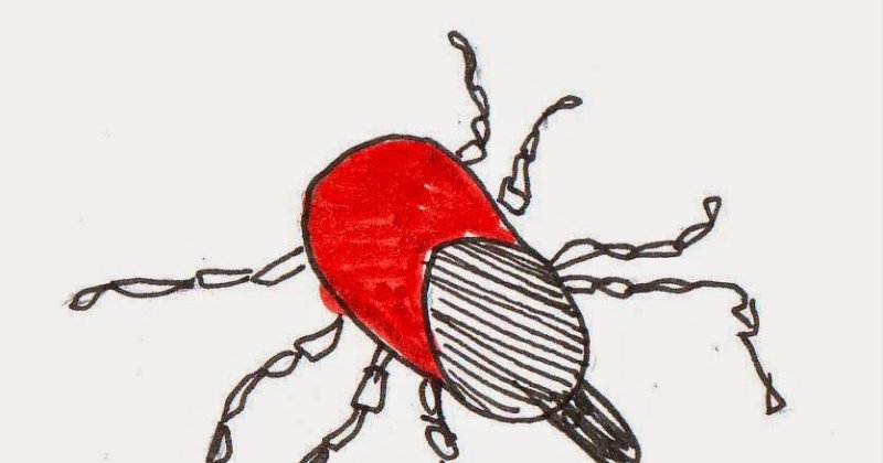 Клещи детский рисунок