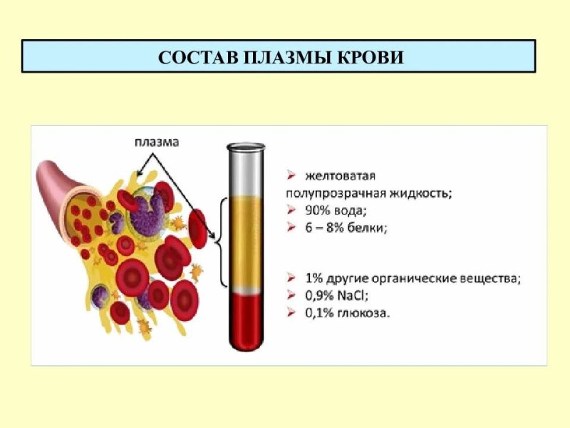 Плазма крови рисунок