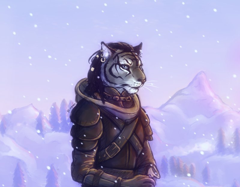 The Elder Scrolls арт каджит