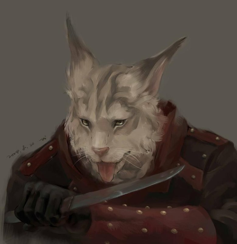 The Elder Scrolls каджиты