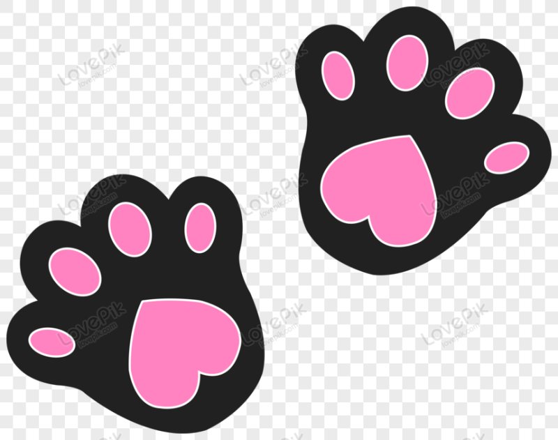 Paw PNG
