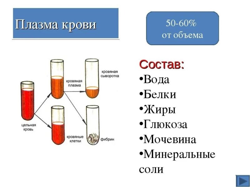 Состав плазмы крови КРС