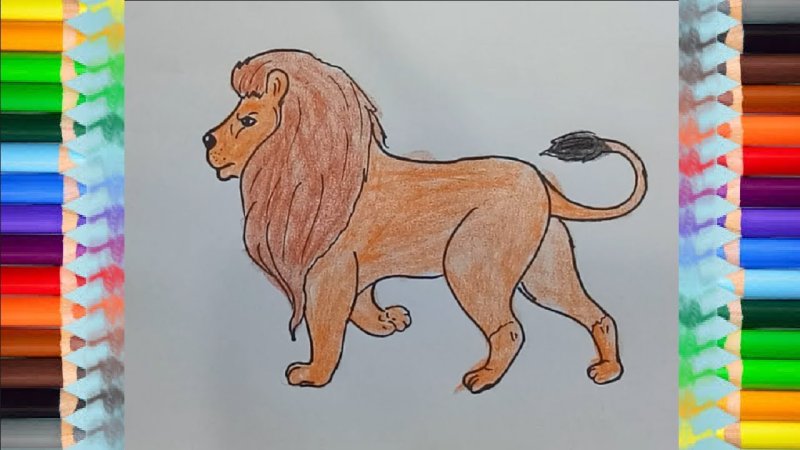 Рисунок Льва для срисовки