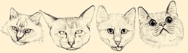 Кот рисунок