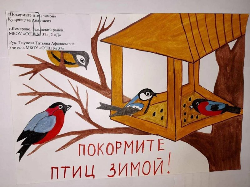 Конкурс листовок Покормите птиц зимой