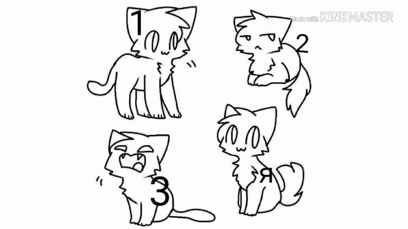 Коты Воители лайны Амино