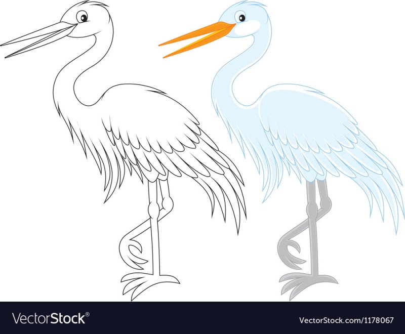 Цапля рисунок