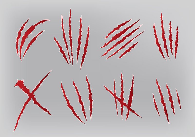 Следы когтей вектор