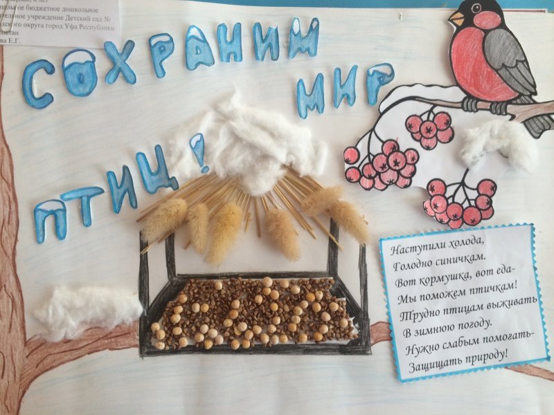 Стенгазета берегите птиц