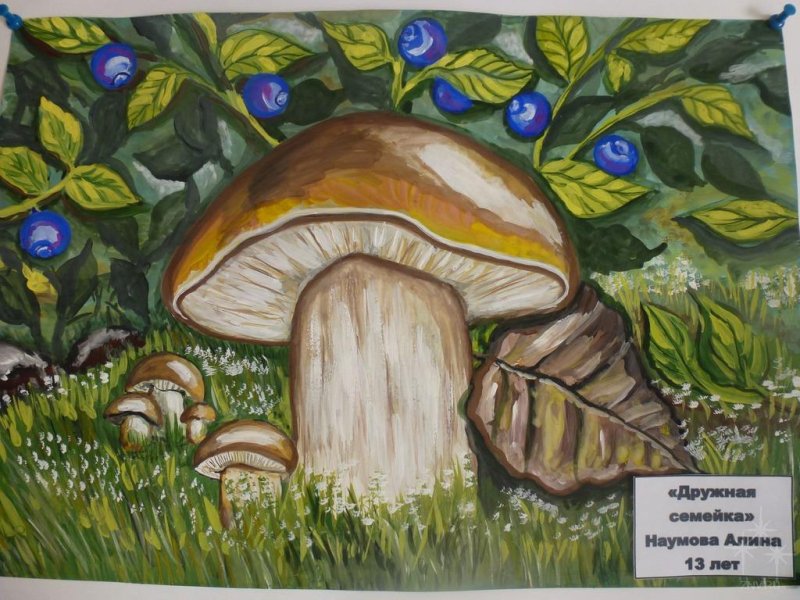 Рисование грибная Поляна
