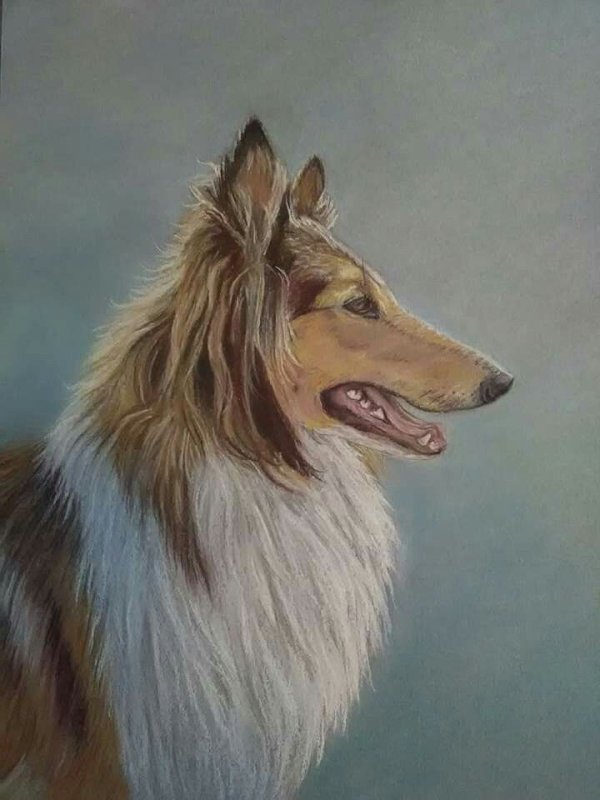 Колли в живописи