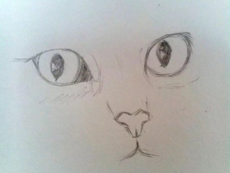 Глаза кота для рисования