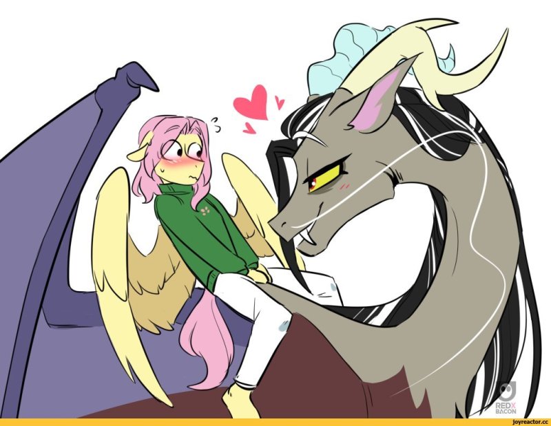 май литл пони флаттершай и дискорд