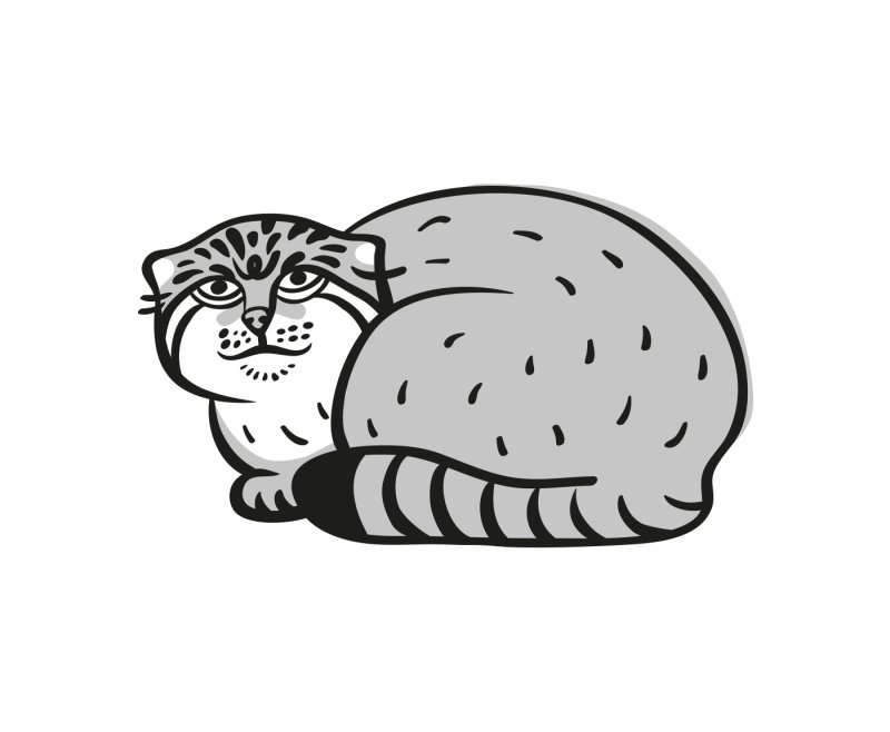 Кот Манул