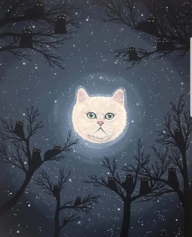 Кошка арт
