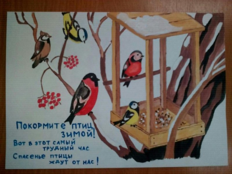 Плакат Покорми ПТМЦ зимой