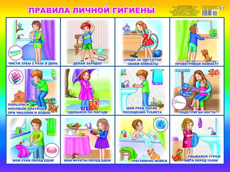 Правила личные гигмены