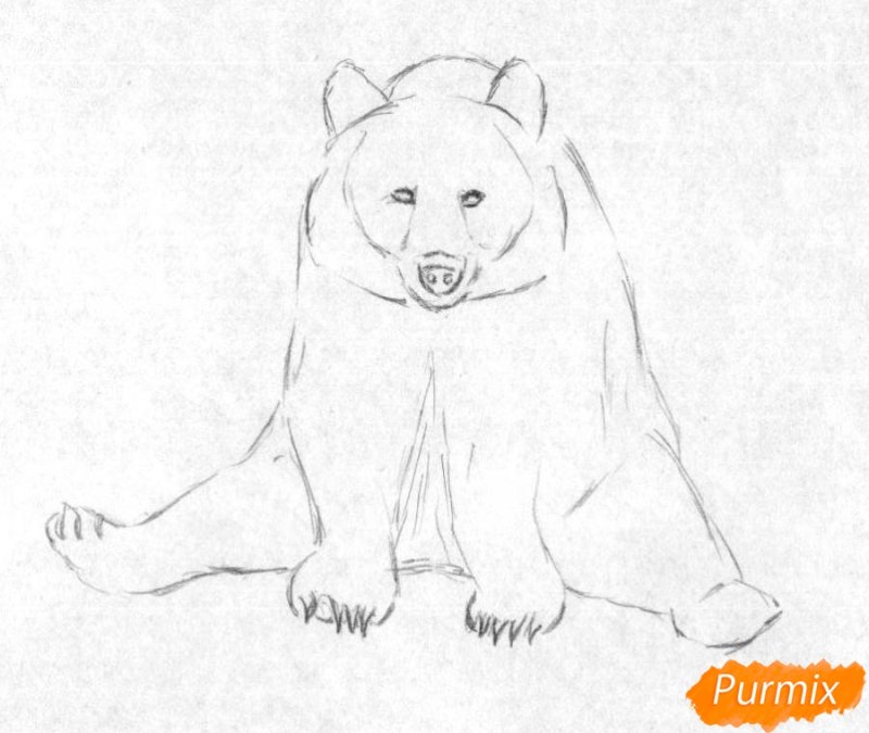 Медведь рисунок