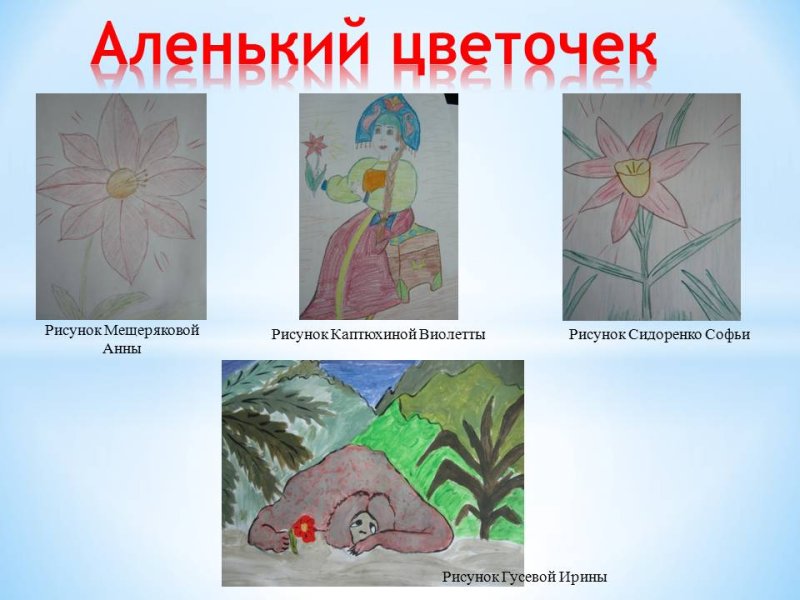 Аленький цветок рисунок