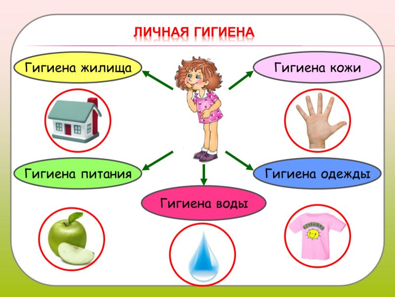Памятка соблюдение личной гигиены