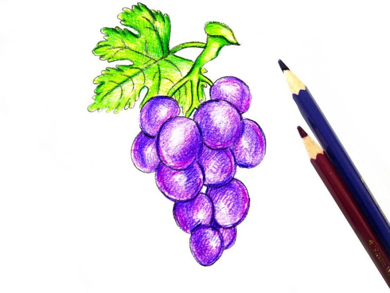 Рисование виноград