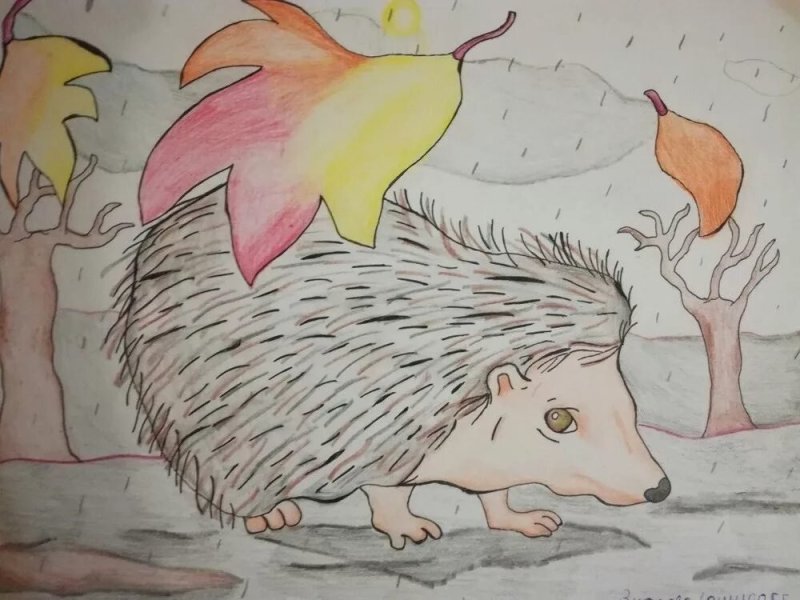 Рисование Ежик
