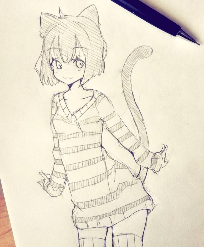 Рисунки аниме девушек кошек