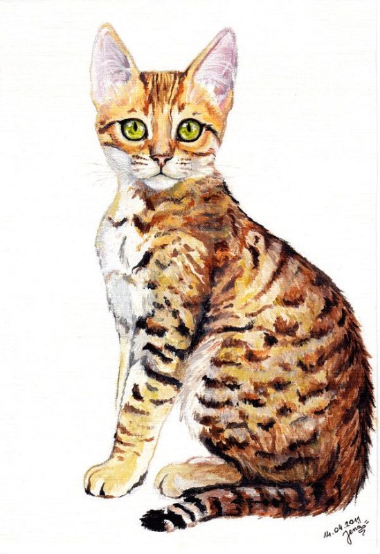 Бенгальский кот арт