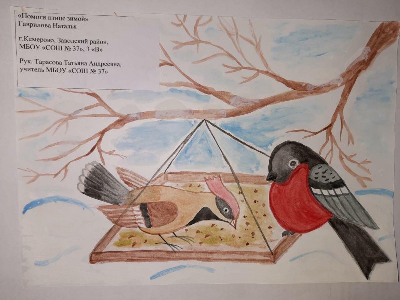 Рисование зимующие птицы