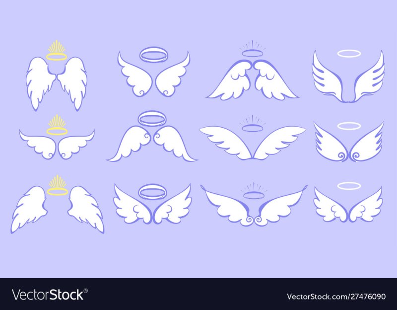 Виды нимбов