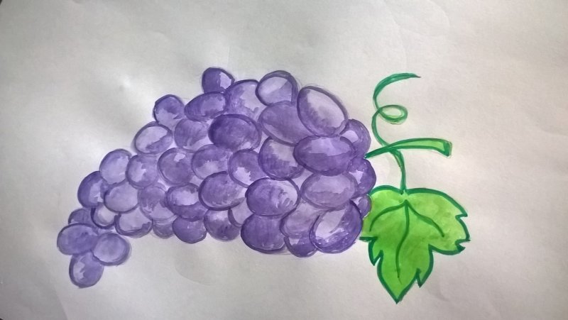 Виноград рисунок карандашом