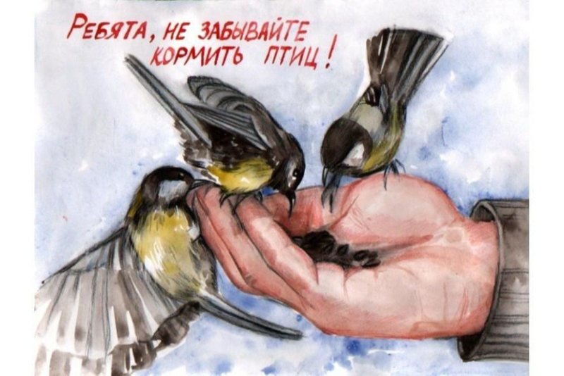 Помоги птицам