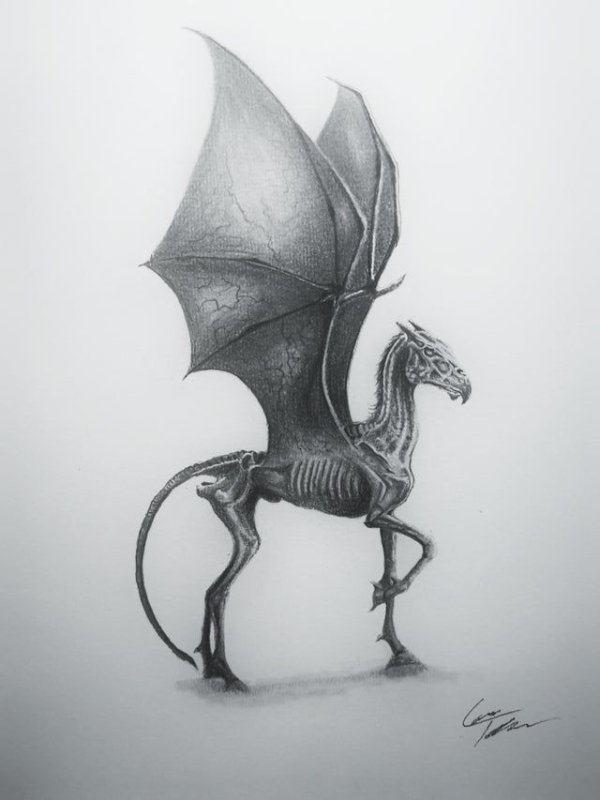 Thestral Гарри Поттер